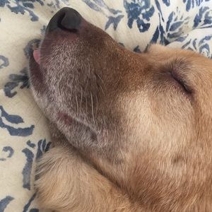 Meet your Posher, Barb